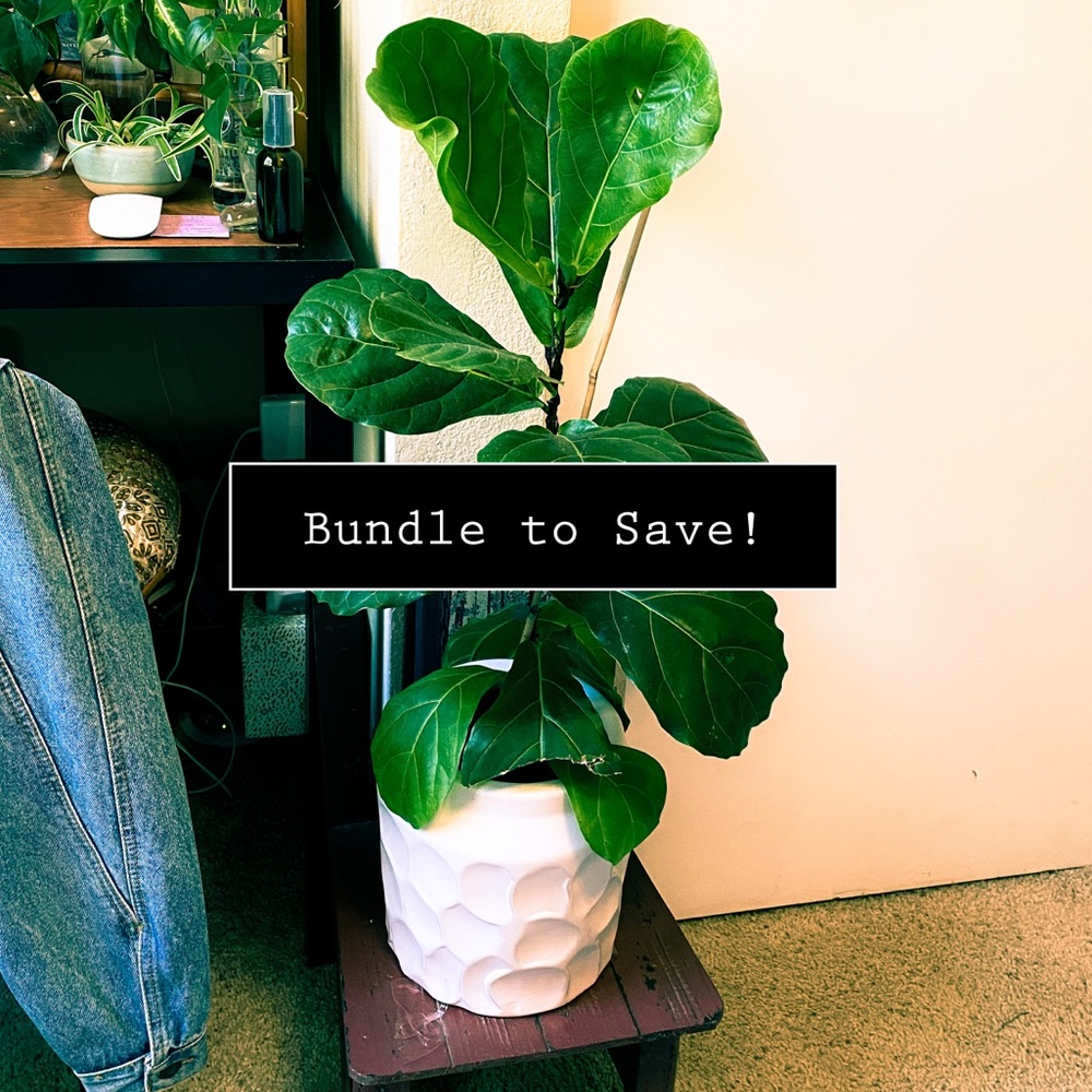 BUNDLE TO SAVE